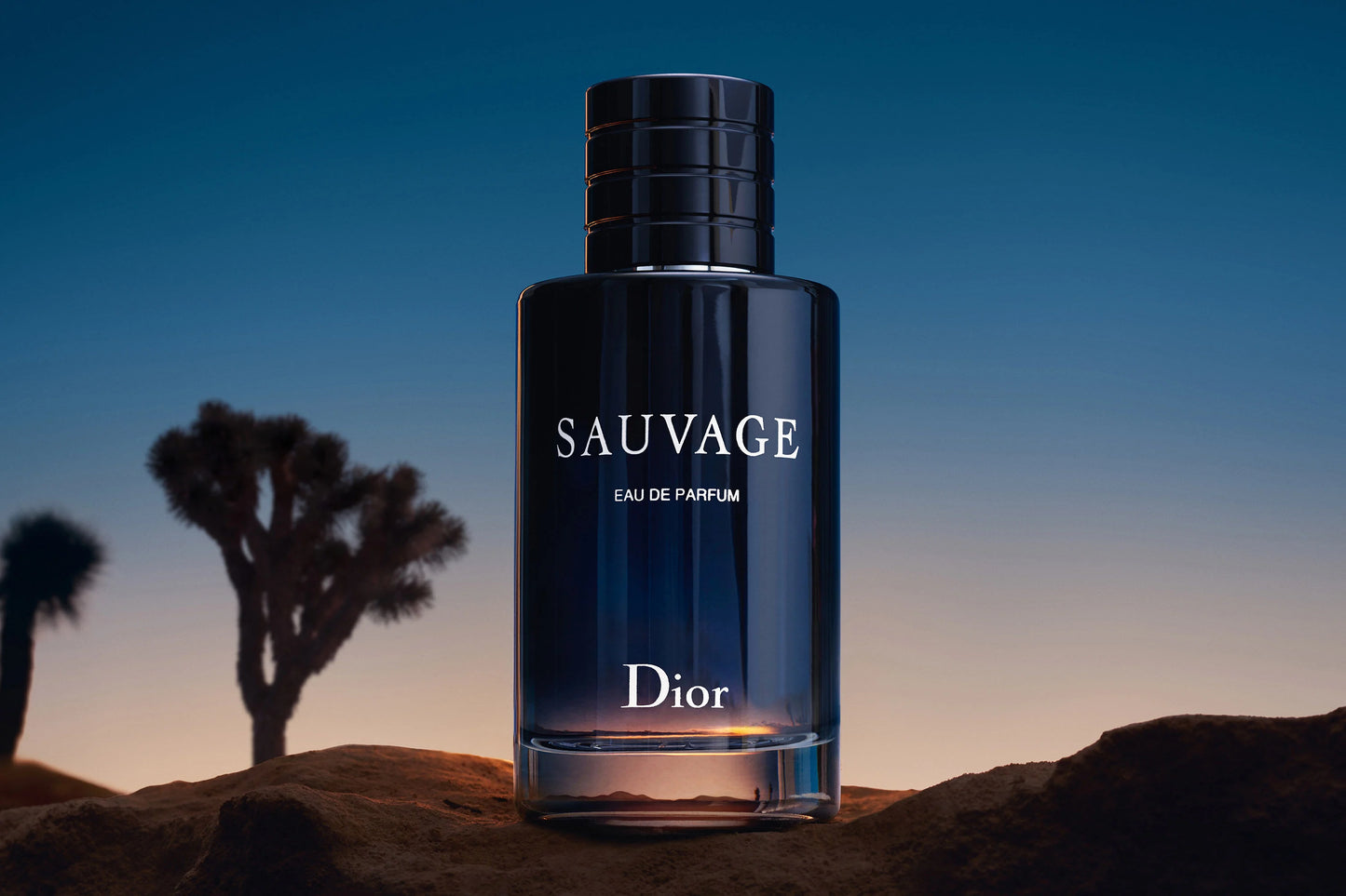 Dior Sauvage Eau de Parfum for Men