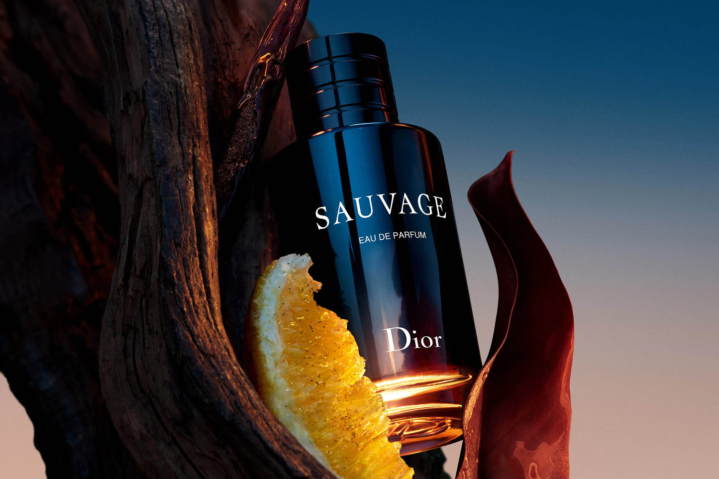 Dior Sauvage Eau de Parfum for Men